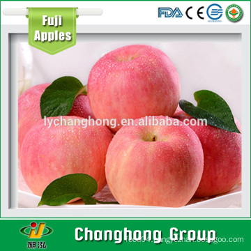 [HOT] Fuji Apple/fresh Apple for sale